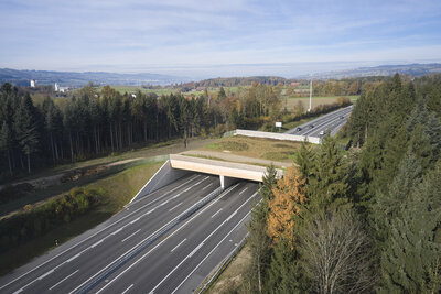 Wildtier&uuml;berf&uuml;hrung, Neuenkirch