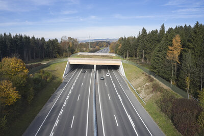 Wildtier&uuml;berf&uuml;hrung, Neuenkirch