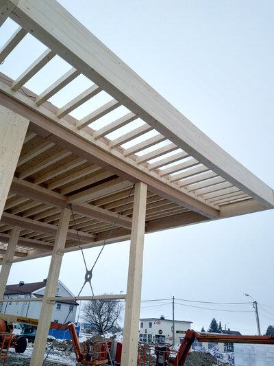 Kiwi Lerberg, Hokksund (NO)