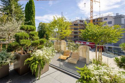 Sichtschutz mit Accoya, Muri (AG)