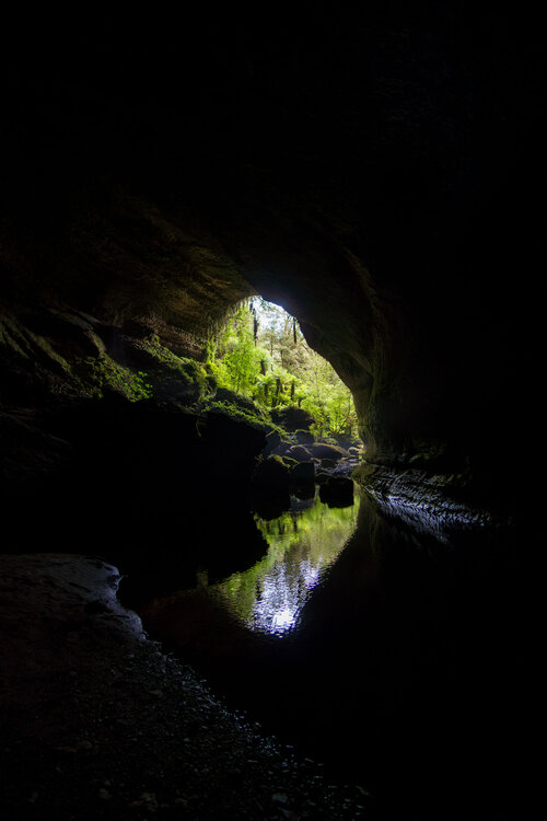 CNC machinist, Hundegger joinery plant
