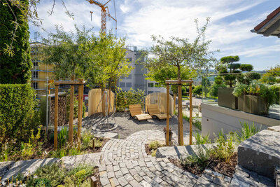 Privacy screen with Accoya, Muri (AG)