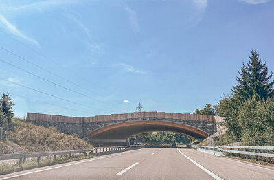 Wildlife crossing, M&uuml;hleberg