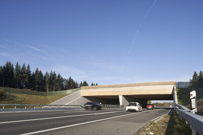 Wild animal transfer, Neuenkirch