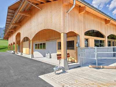 New stable Grabi, Alpnach