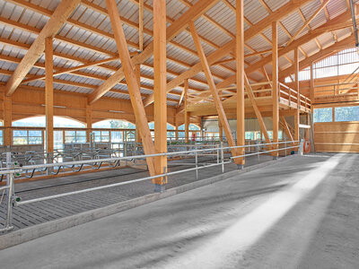 New stable Grabi, Alpnach