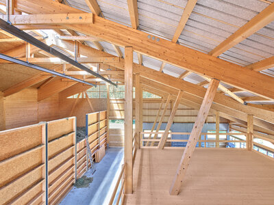 New stable Grabi, Alpnach