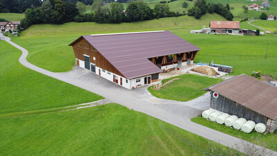 New stable Inglin, Sattel SZ