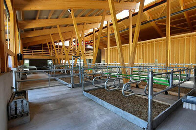 New stable Inglin, Sattel SZ