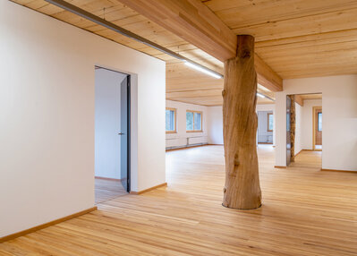 New company building for Z&uuml;richHolz AG, Wetzikon