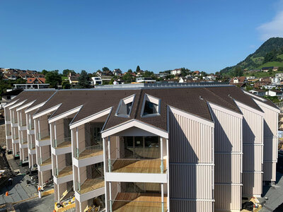 Chenot Palace, Weggis