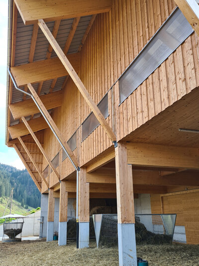 Neubau Damhirschstallung, Gross (SZ)