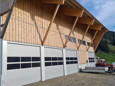 Neubau Damhirschstallung, Gross (SZ)
