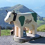 37976-Beitragsbild